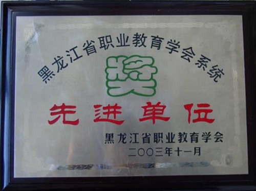 2003年11月黑龙江省职业教育学会系统先进单位